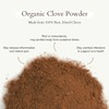 Geo-Fresh Organic Clove Powder – 1.59 oz Glass Jar –
