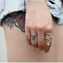 HIIXHC Snake Rings Fashion Animal Rings for Women Snake Ring Vintage Jewelry Rings for Men Adjustable Size (silver snake ring, Adjustable)