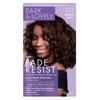 Dark & Lovely Color #373 Brown Sable (Pack of 6)