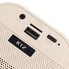 Karaoke Machine Mini Portable Wireless Bluetooth Handheld Microphone Speaker for
