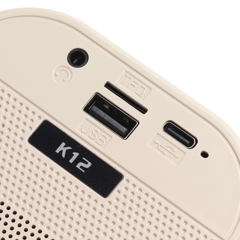 Karaoke Machine Mini Portable Wireless Bluetooth Handheld Microphone Speaker for