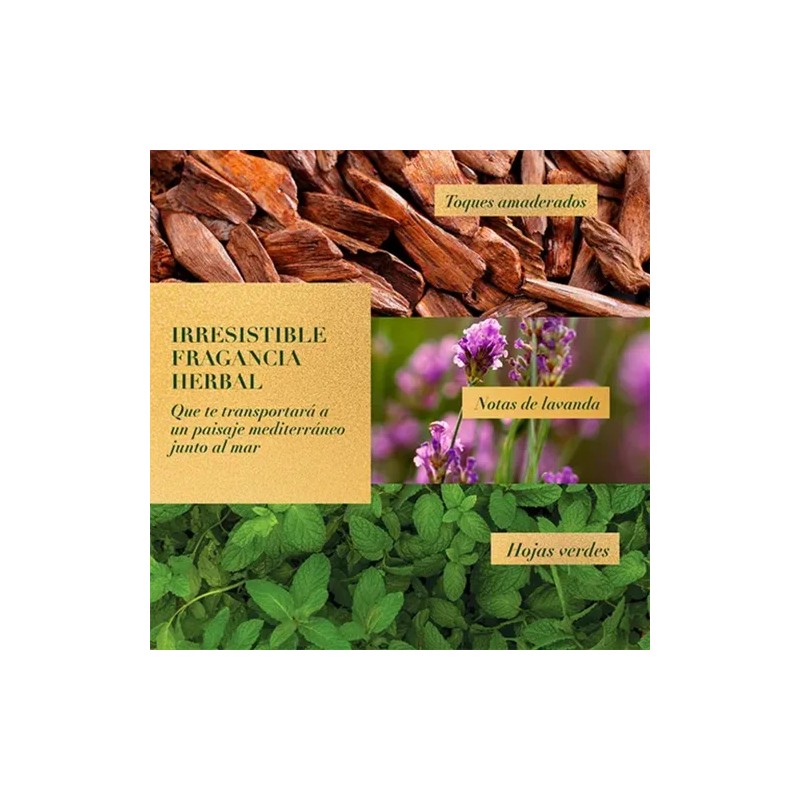 Acondicionador Herbal Essences Bio:Renew Rosemary & Herbs 400 ml