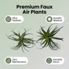 Artificial Plants & Greenery 2Pcs Faux Decor Set