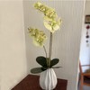 Noveltia Artificial Green Orchid – 2 Stems, 12 Flowers, White