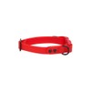 RC Pets Durable, Odor-Resistant, Easy-Clean Waterproof Collar | Red, Medium
