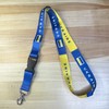 Desert Cactus Country of Ukraine Lanyard Flag Car Keys ID