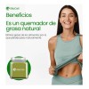 Té Matcha Ceremonial 250g Grado Puro-matcha Japón ¡orgánico!