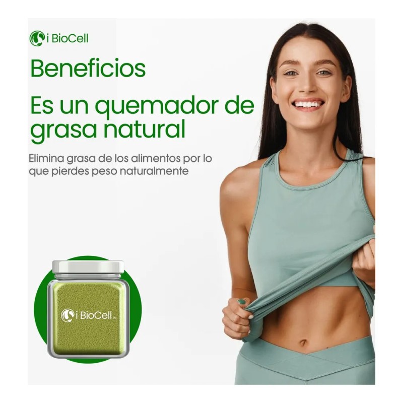 Té Matcha Ceremonial 250g Grado Puro-matcha Japón ¡orgánico!