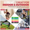 Resistance Bands for Men & Women Set of 5 with