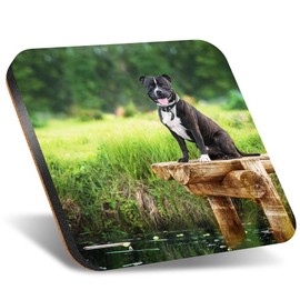 1 x Square Jumbo Size Coaster 12cm Happy Staffordshire Bull Terrier Dog Staffy Cork Backed MDF Glossy Tea Coffee Accessory #51137