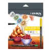 LYRA Aqua Brush Duo, Fine Art Brush Marker Set, Dual