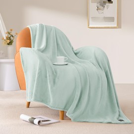 BEAUTEX Fleece Throw Blanket for Couch Sofa or Bed Throw Size, Soft Fuzzy Plush Blanket, Luxury Flannel Lap Blanket, Super Cozy and Comfy for All Seasons (50" x 60",Mint)