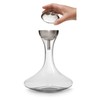 Houdini Wine Decanter with Wine Shower Funnel and Sediment Strainer,