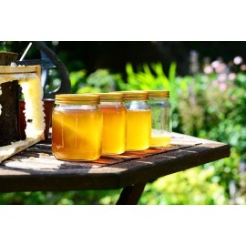 Elden Foods 100% Pure Raw Honey with Dandelion! - Now in Glass! - 5 LBS