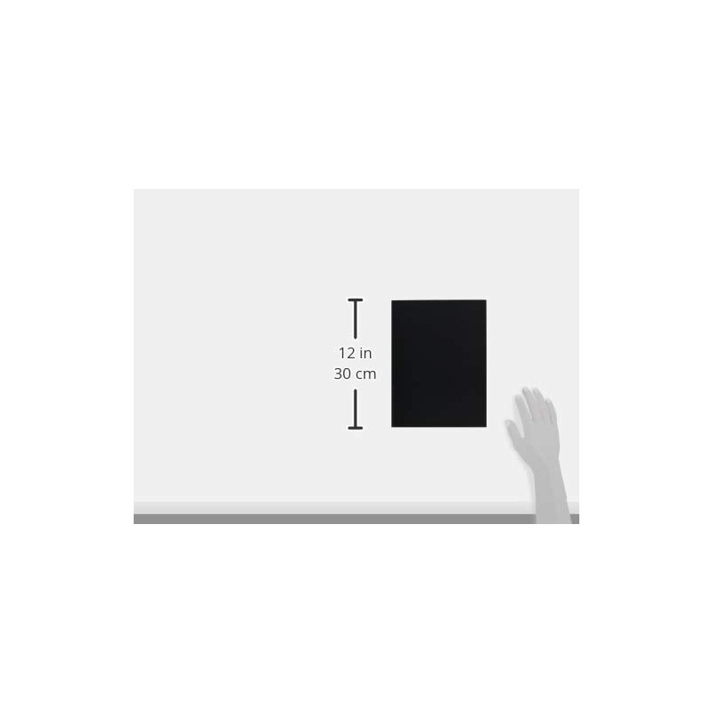 Nakabayashi CTDP-2L-120-D File, Ultra Transparent Pocket Album, Black Mat, 2L