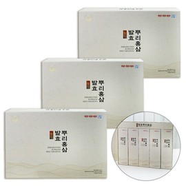Geongangbogam 6-Year-Old Fermented Red Ginseng Concentrate Goryeo Red Ginseng Jeonggwa 690g / 건강보감 6년근 발효홍삼 농축액 고려 홍삼 정과 690g