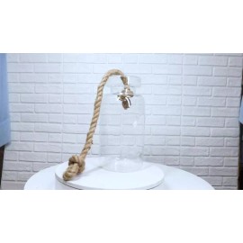 Farmhouse Rustic Country Hanging 11" H Glass Bottle Terrarium With Jute Strings