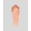 Napoleon Perdis Desert Bloom Eyeshadow Palette