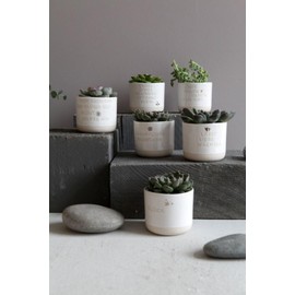 Good old Friends Mini Flower Pot Lucky