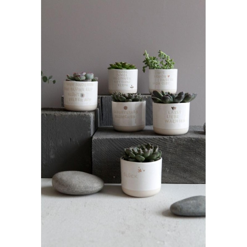 Good old Friends Mini Flower Pot Lucky