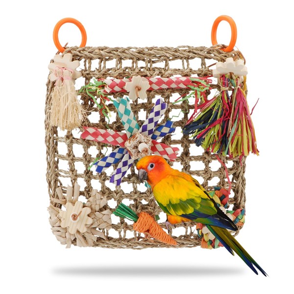 Hypeety Bird Toys Parrot Foraging Toys Bird Chew Toys Parakeet