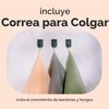 Toalla de Ducha Exfoliante MainBasics – Juego 3, Nailon Japonés,