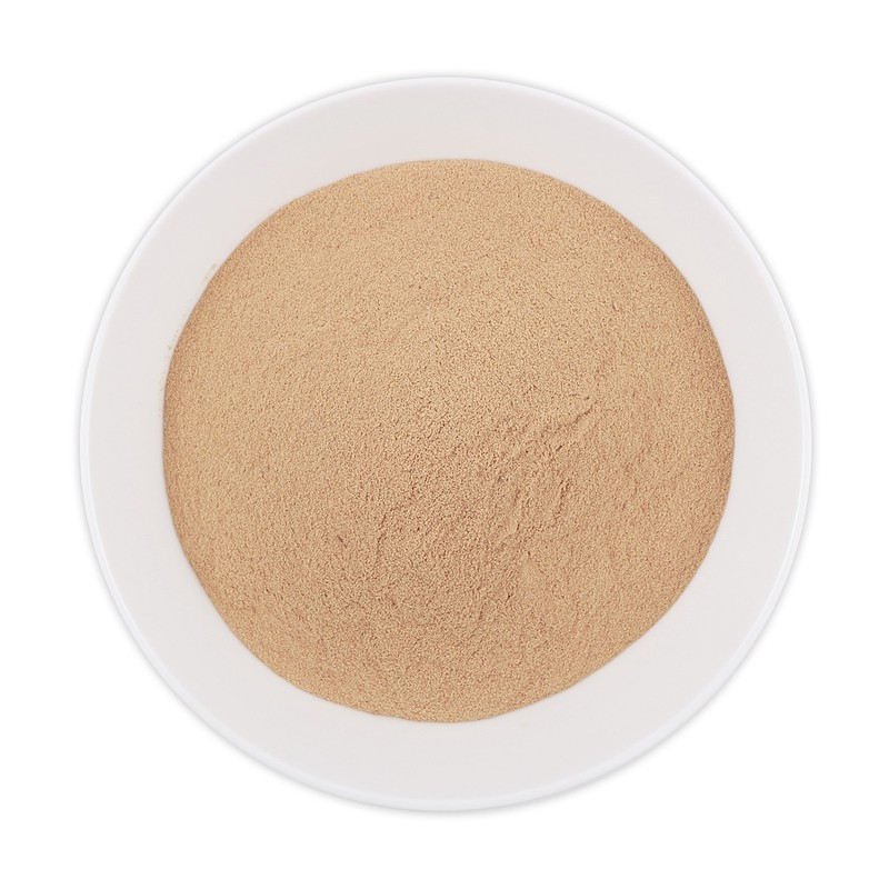 Brewer's yeast pill tablet nutritional supplement protein biotin / 맥주효모