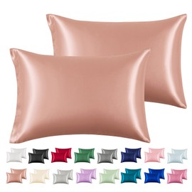 Silk Satin Pillowcase Queen Size, Champagne Gold Silky Soft Cooling Satin-Silk Pillow Cases for Hair and Skin with Envelope Closure, Gift for Women Men, 2 Pack (20x30, Champagne Gold)