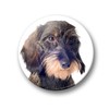 01 Large Refrigerator Magnets with Dachshund Portrait Design Set of