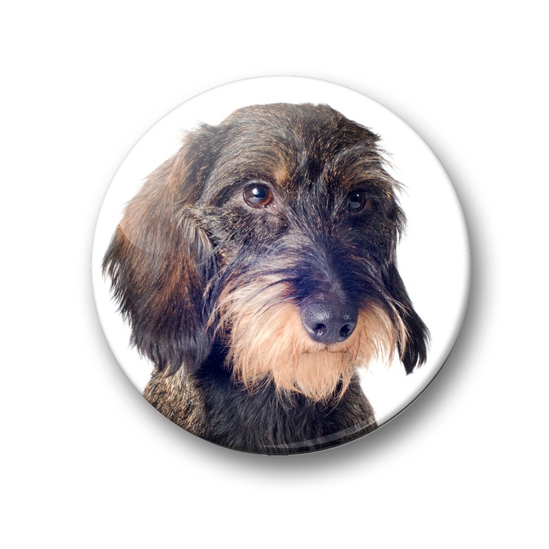 01 Large Refrigerator Magnets with Dachshund Portrait Design Set of