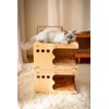 PetHse Magic Organ Cat Scratching Board, Interactive Scratch Pad Cat
