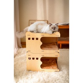 PetHse Magic Organ Cat Scratching Board, Interactive Scratch Pad Cat Toy with Toy Bell Ball