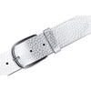 Vanzetti Belt, Metallic silver