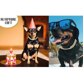 Chain Dog Collar, Bling Diamond Cuban Link Dog Collars Glitter Chain Rhinestone Puppy Necklace for for Small Medium Large Pet Dogs (Silver, 8 inch)