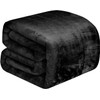 BEDELITE Large Blanket Warm Microfiber Flannel Blanket for All Seasons,