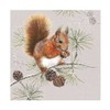 Napkin Squirrel in Winter Pack of 20