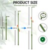 Yhtpouqe 3 Pack Extendable Plant Stakes, 16.5-42.5 Inch Plant Stakes