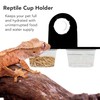 Synra Crested Gecko Dual Feeding Ledge, Space Saving, Maximizes Floor