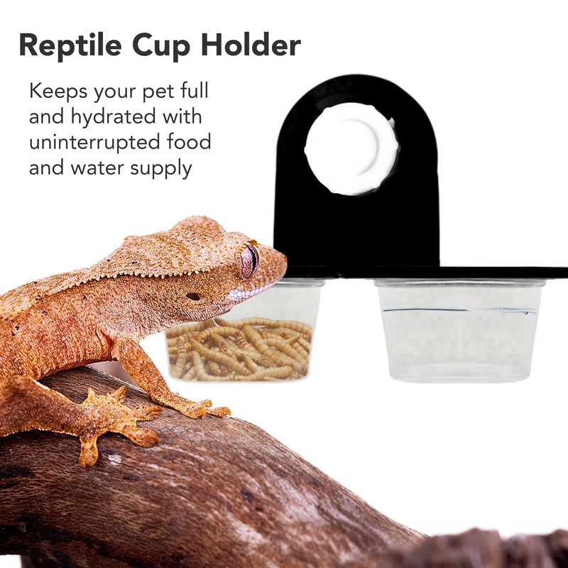 Synra Crested Gecko Dual Feeding Ledge, Space Saving, Maximizes Floor