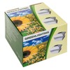GreenLighting 12 Pack Classic #1 Solar Power Outdoor Garden Pathway