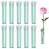 Pavike Clear Floral Tube (10 Pieces) Flower Tube, Flower Water