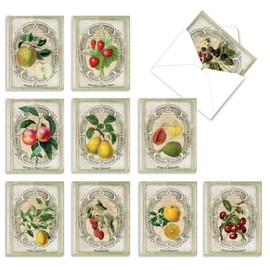 The Best Card Company - 10 Retro Blank Cards with Envelopes (4 x 5.12 Inch) - Artistic Boxed Assortment, Vintage Note Cards - French Fruit M4190OCB-B1x10