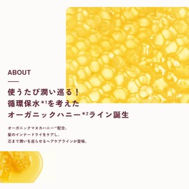 Ahara Honey Hydro & Repair Gentle Shampoo (Refill), 12.8 fl oz (380 ml)