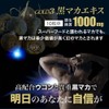 ユウキ製薬 黒マカ ウコン 20-25日分 200粒 サプリ 秋ウコン クルクミン