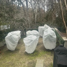 Dalen Harvest-Guard Plant Protector Bag 8ft x 6ft for Cold Weather Frost Protect