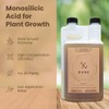 Dune - Bioavailable Silica for Plants – Strengthens Cell Walls,