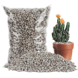 Sukh Horticultural Pumice Stone - Pumice Stone for Plants Succulent Cactus Bonsai Orchid Soil Amendment 900g