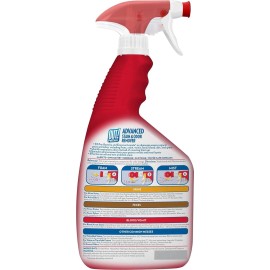 OUT! Advanced Stain and Odor Remover Pet Stain and Odor Remover 32 oz - 2Pack