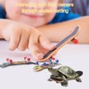 Mini Tortoise Skateboard for Small Pets - Fun Turtle Skateboard