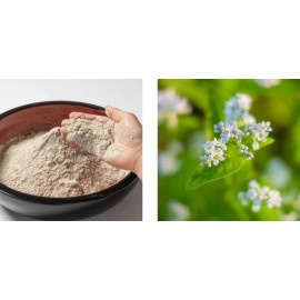 Honda Izumo Soba Japanese 100% Buckwheat Noodles 本田商店 出雲 そば 生タイプ 十割 Japan Grown